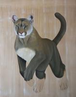 PUMA CONCOLOR CORYI   Animal painting, wildlife painter.Dogs, bears, elephants, bulls on canvas for art and decoration by Thierry Bisch 